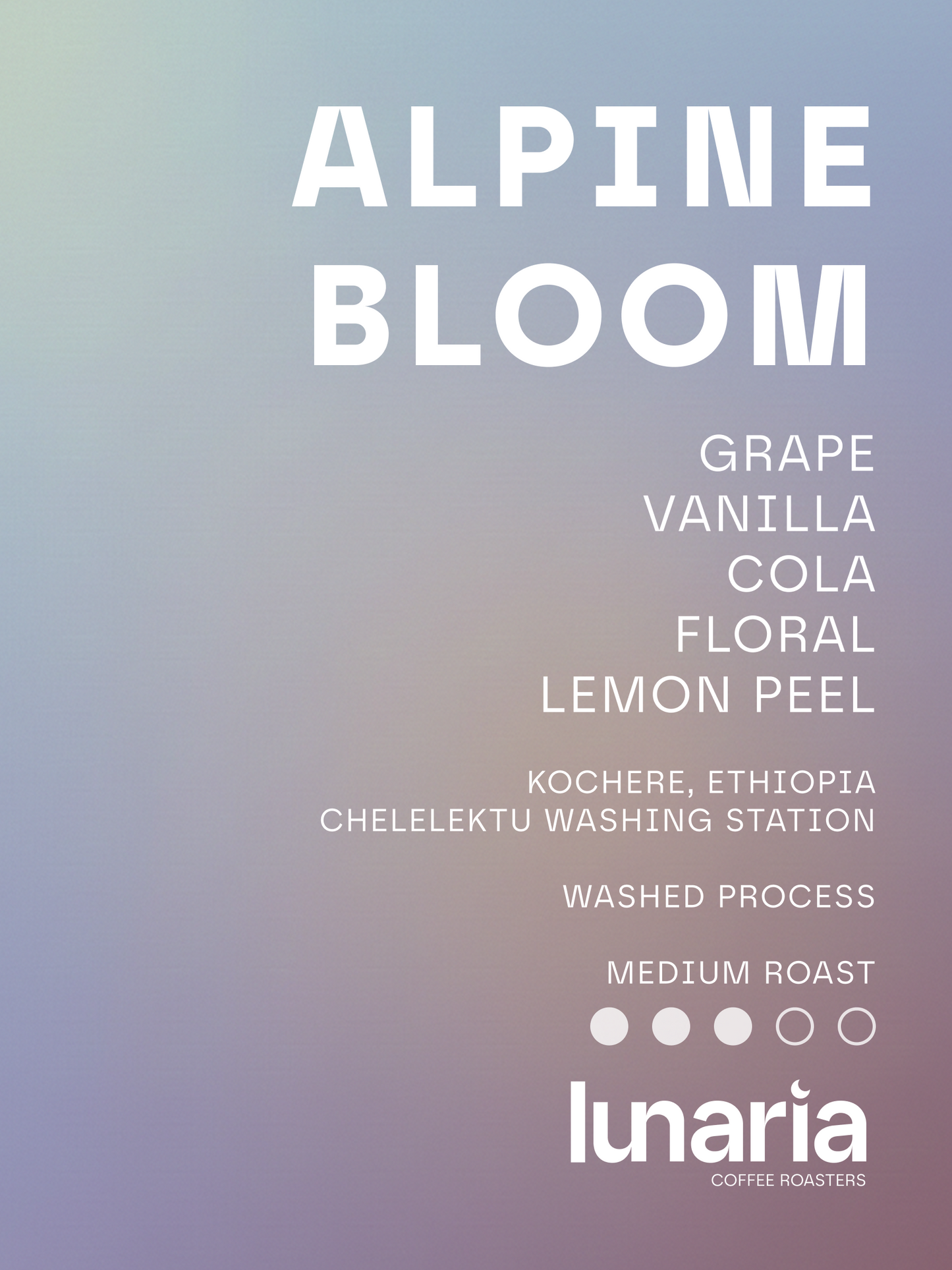 Alpine Bloom - Kochere, Ethiopia