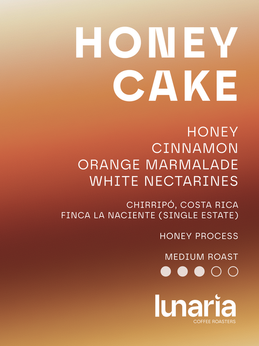 Honey Cake - Rivense Finca La Naciente, Costa Rica