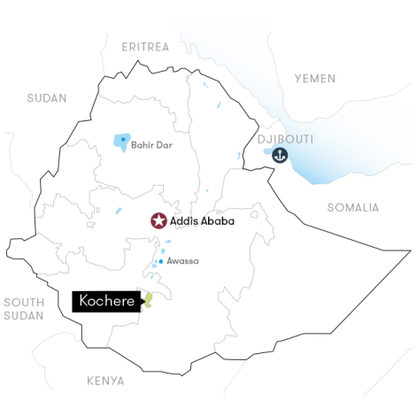 Alpine Bloom - Kochere, Ethiopia